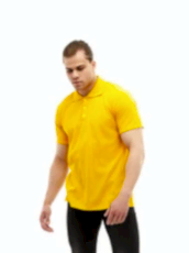 Рубашка поло мужская с коротким рукавом