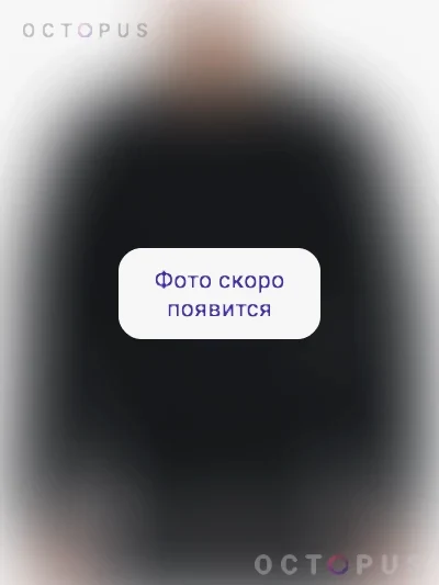 Свитшот реглан